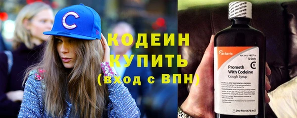 apvp Бородино